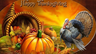 Animated happy thanksgiving images 2024 Free Download