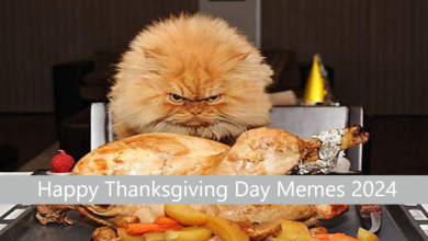 Happy Thanksgiving Day Memes 2024